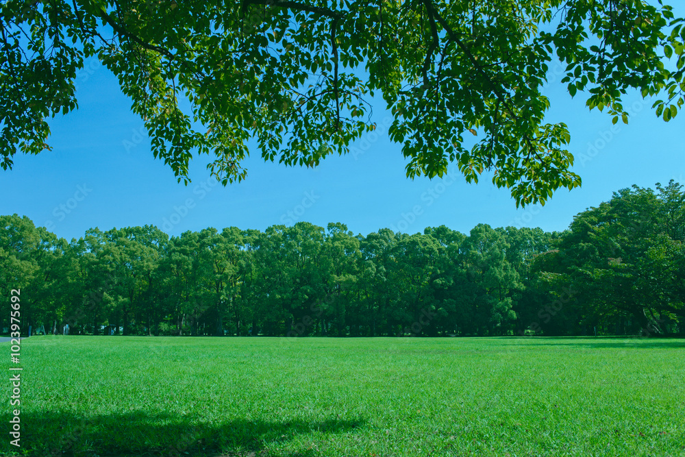 Obraz premium Green Park