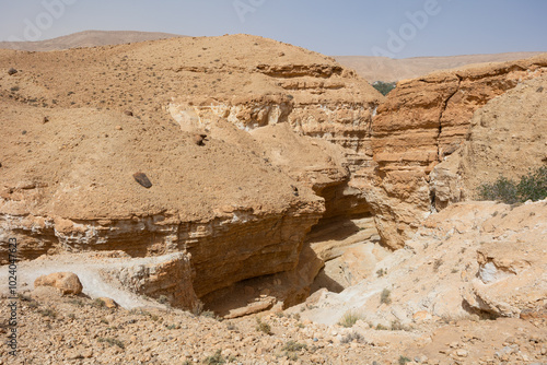 Picturesque view of sunlit Tamaghza canyon with imposing sandstone cliffs standing as timeless monuments to sculpting forces of nature in Tunisia photo