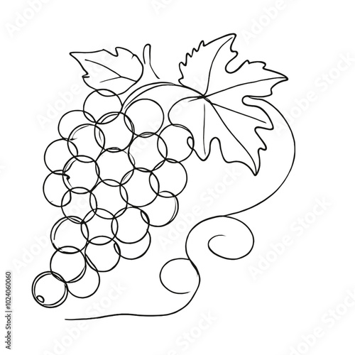 Grape bunch with leaves outline vector on white background