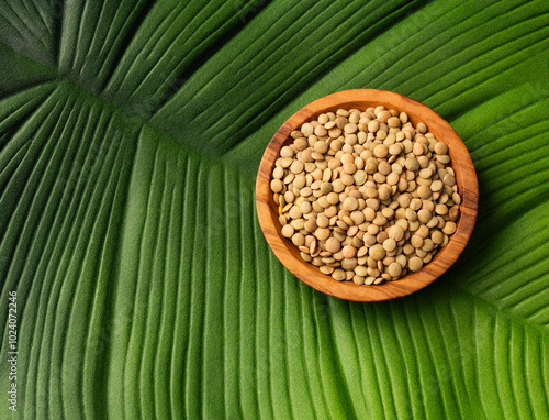 Lens culinaris organic - Brown lentils in a bowl. photo