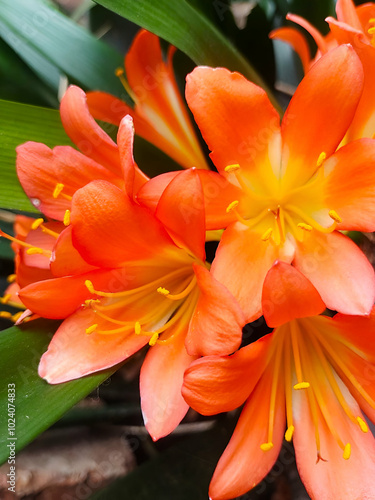flores tropicales de color naranja con amarillo