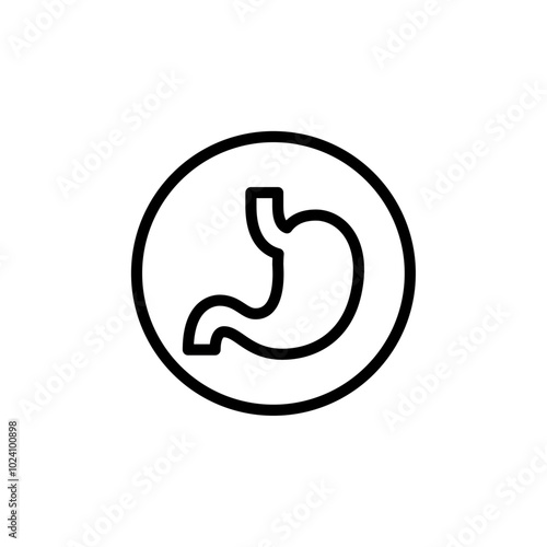 Stomach icon Outline vector for web ui