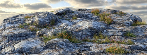 Rocky hillside, steep climb, scattered wildflowers, early morning sun