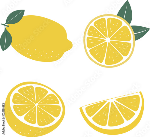 Lemon flat illustration, cut fresh lemon