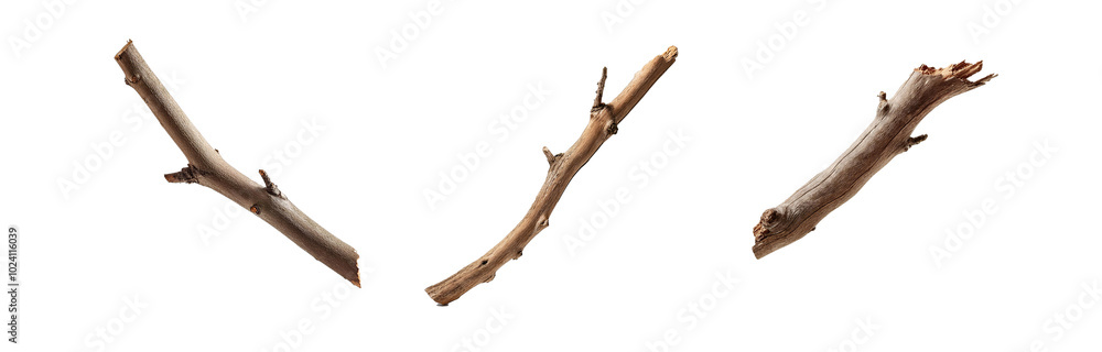 Three isolated, dry branches with textured bark. The branches are different sizes and shapes. Three isolated, dry branches with textured bark. The branches are different sizes and shapes.