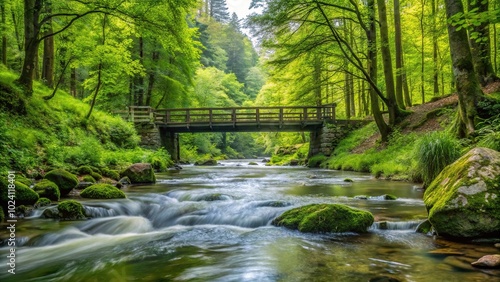 Landscape of water stream in forest with bridge
