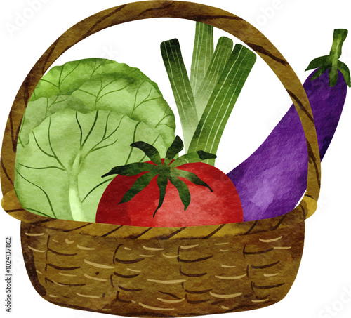 Watercolor Vegetables in Wooden Basket Illustration 