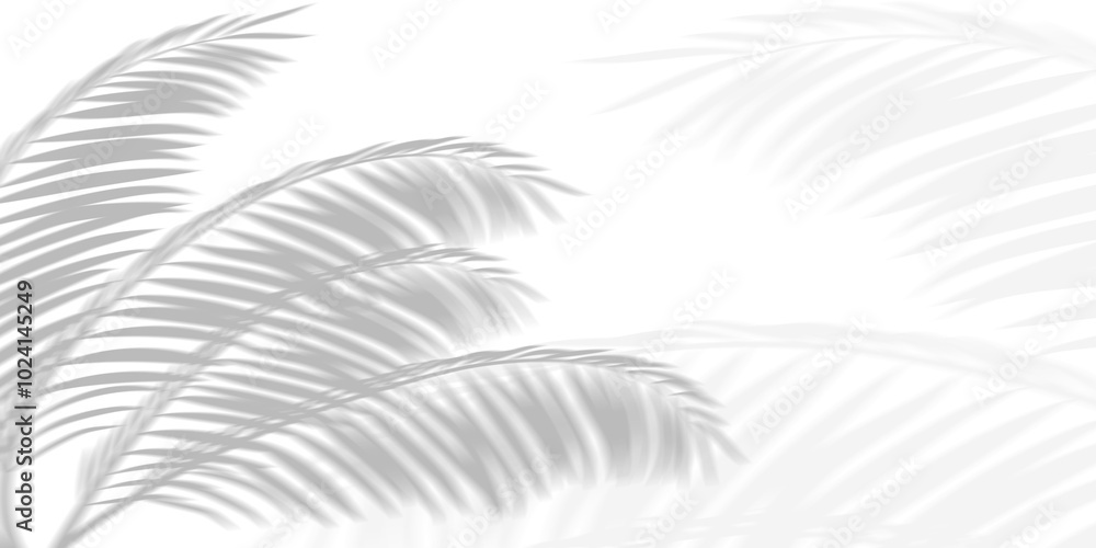 Fototapeta premium Abstract background of palm leaves or coconut leaves with gradient. Natural pattern