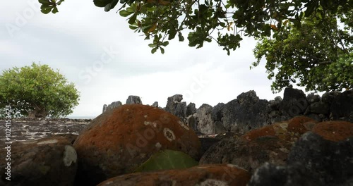 Taputapuatea Marae, Raiatea, Society Islands, French Polynesia.Closeup of the basalt stones. photo