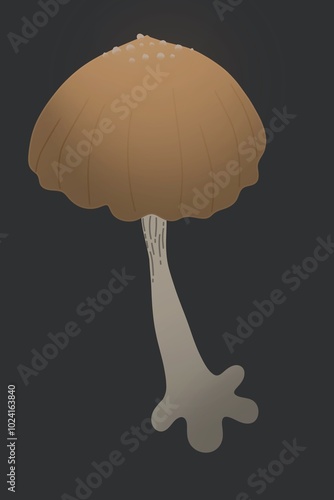 A cozy and aesthetic collection of earth tone mushroom illustrations, inspired by the quiet beauty of nature. Each mushroom is drawn in warm, muted colors — beige, terracotta, brown, olive, and cream 