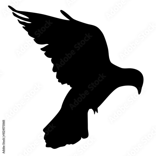 bird flying with its wings backwards incredible