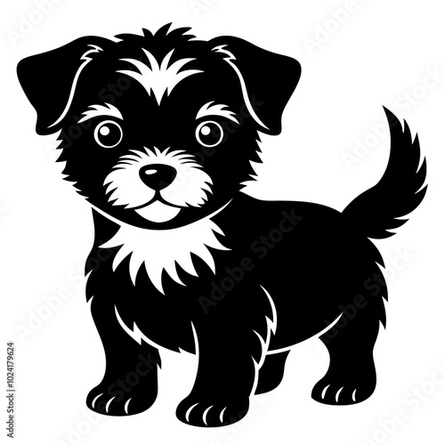 black and white puppy