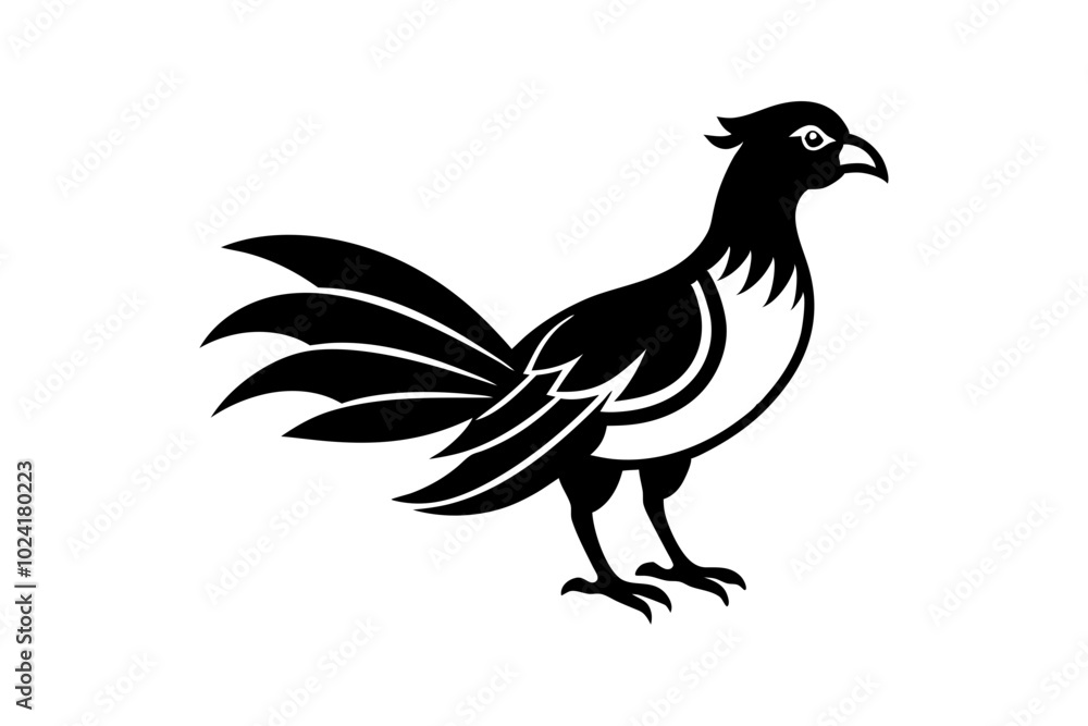 Bird Bird