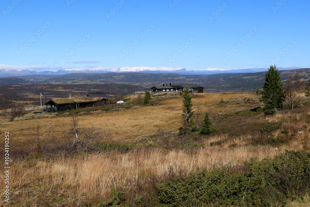 Fototapeta premium Norwegian landscape