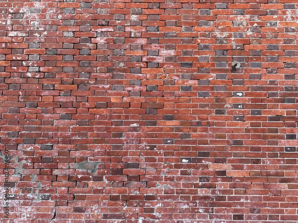 Naklejka premium brick wall