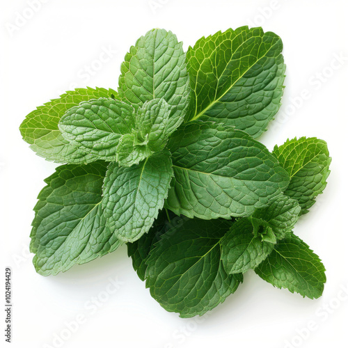 Mint leaves isolated on white background