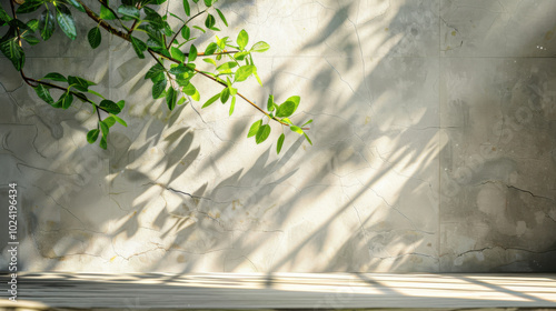 Wooden table background with empty space and ficus leaves shadows