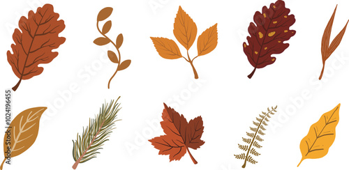 Set of autumn leaves Vector autumn fall banner with colorful mushroom, leaves, acorns, isolated on white. autumn seasonal elements in flat style of vector 