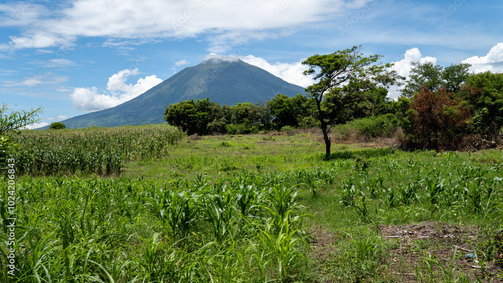 Fototapeta premium Volcan Chaparrastique San Miguel, El Salvador