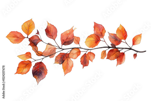 A delicate watercolor illustration of a maple leaf branch, isolated against a transparent background.  photo