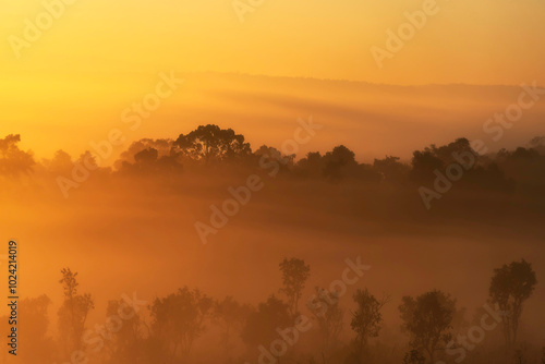 Mountain landscape in the fog.Beautiful sunlight and fog