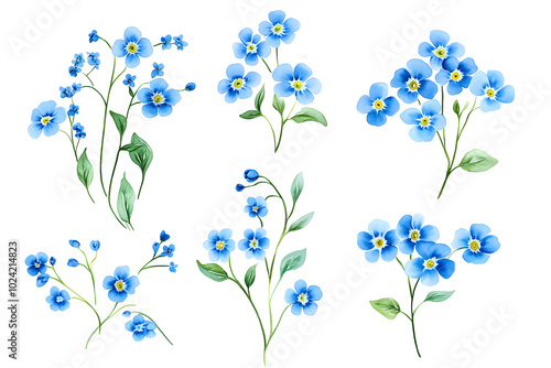 Set of beautiful blue forget-me-not flowers. Delicate floral branches and leaves isolated on white background. Hand drawn watercolor.