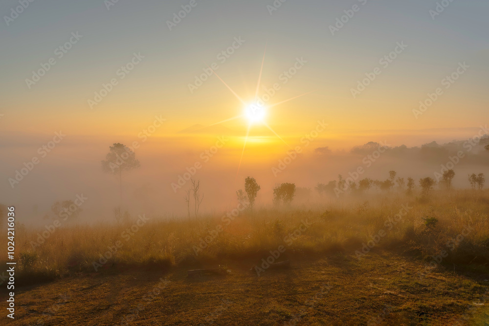 Mountain landscape in the fog.Beautiful sunlight and fog Mountain landscape in the fog.Beautiful sunlight and fog