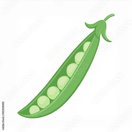 pea peas illustration isolated on white