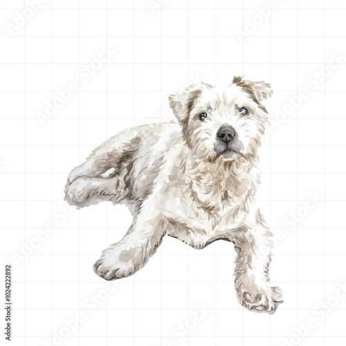 Dog painted in watercolor on white background