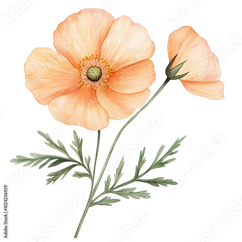 Fototapeta Naklejka Na Ścianę i Meble -  A Beautiful Collection of Watercolor Flowers