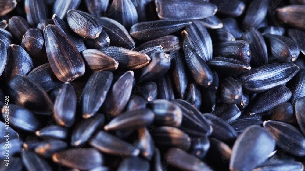 The sunflower seeds on a plate close-up. The sunflower seeds after harvest. Pile of Dried Sunflower Unpeeled Seeds, a Healthy Source of Vitamins in Vegan Food. The sunflower seeds on a plate close-up. The sunflower seeds after harvest. Pile of Dried Sunflower Unpeeled Seeds, a Healthy Source of Vitamins in Vegan Food.