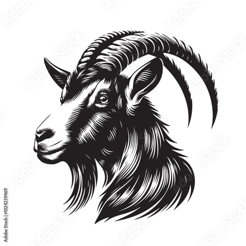 Goat Vector
