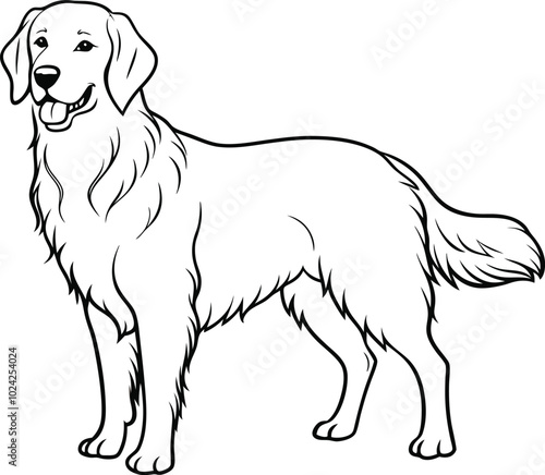 golden retriever dog