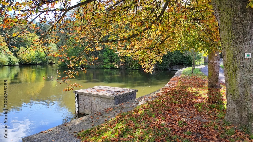 Autumn still life by the pond on the embankment Autumn still life by the pond on the embankment