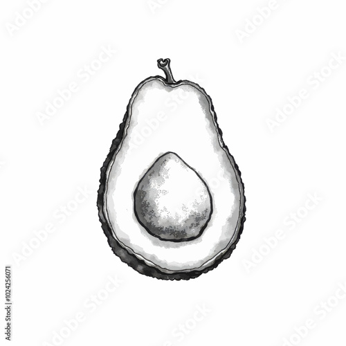 Black and White Ink Illustration of Avocado Half  
