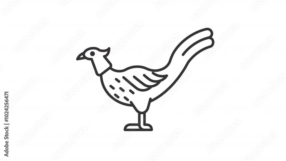Animated pheasant icon. Exotic animal line animation. Moving bird, pecks. Wildlife fauna, nature. Black illustration on white background. HD video with alpha channel. Motion graphic Animated pheasant icon. Exotic animal line animation. Moving bird, pecks. Wildlife fauna, nature. Black illustration on white background. HD video with alpha channel. Motion graphic