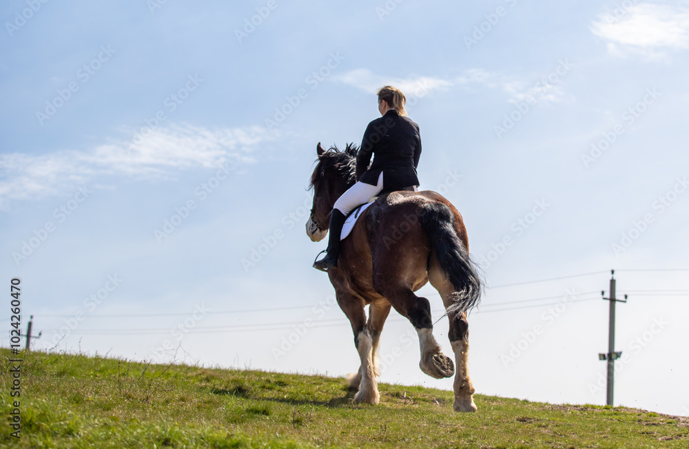Petropavlovsk, Kazakhstan - April 23, 2023: A girl rider walks with a horse. Heavy horse. Petropavlovsk, Kazakhstan - April 23, 2023: A girl rider walks with a horse. Heavy horse.