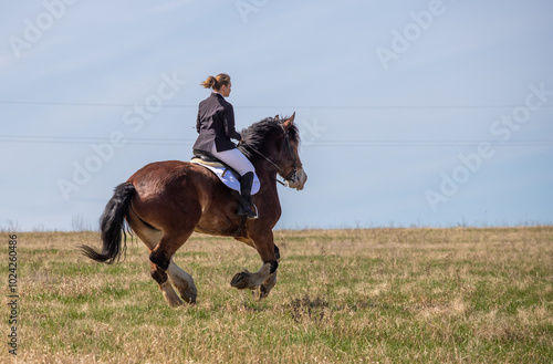 Petropavlovsk, Kazakhstan - April 23, 2023: A girl rider walks with a horse. Heavy horse. photo