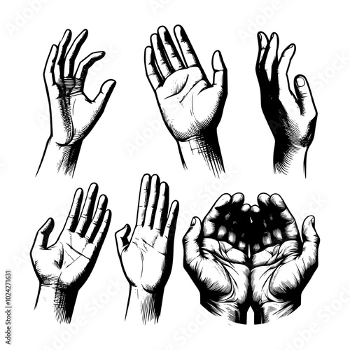 Vintage style line art illustration for set of hands