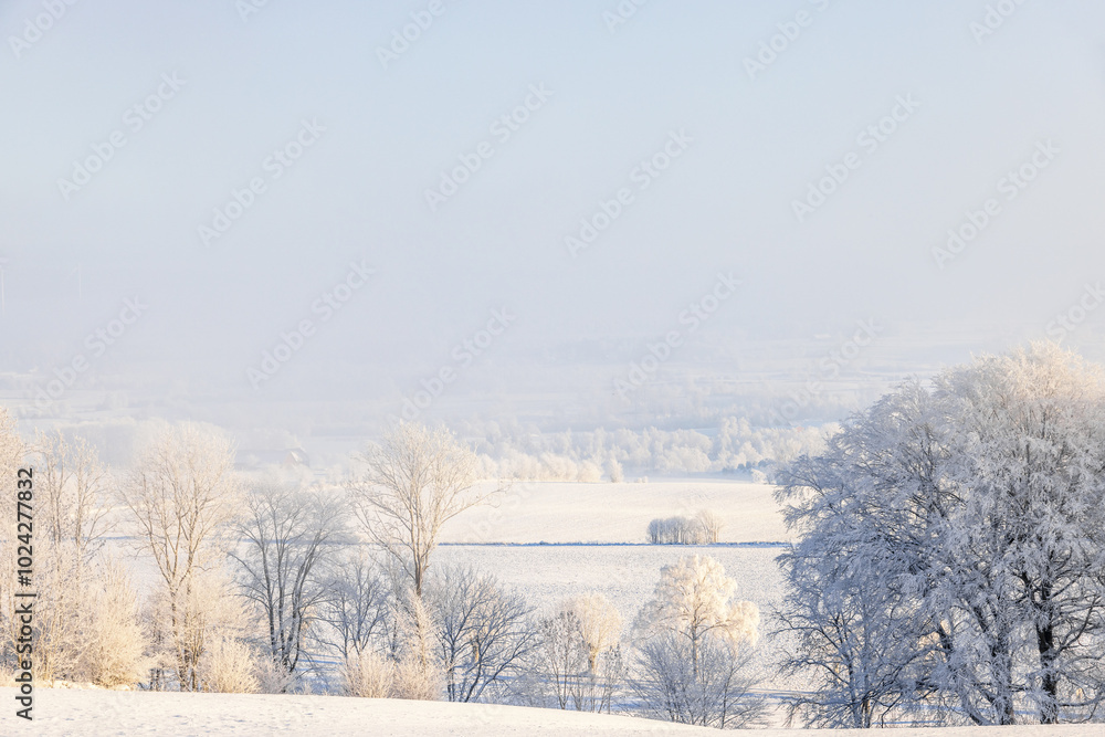 Fototapeta premium Scenic winter view at the countryside