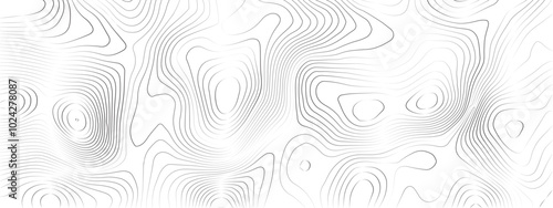 Transparent PNG Topographic line map. Modern design with White background with Topographic map background geographic line map. Modern design with White background with topographic wavy pattern design.