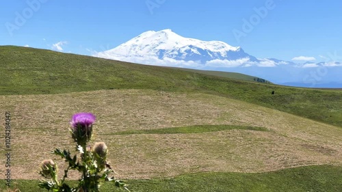 View of Elbrus from the Gumbashi pass, the highest mountain pass in Russia. View of the green mountains and hills. An epic view of the snowy peaks and valley. The North Caucasus. 4К photo