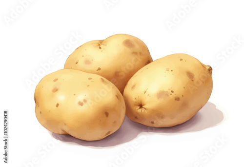 Four Raw Potatoes on White Background