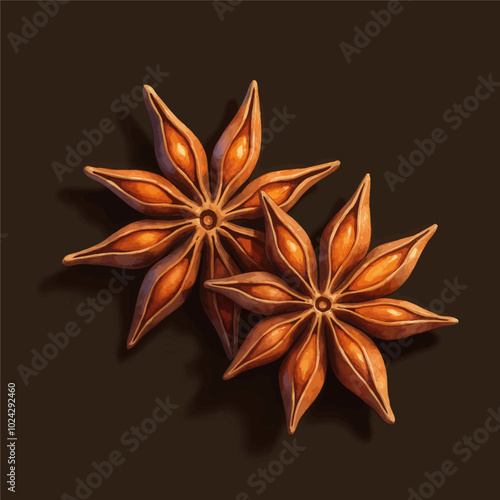 Star Anise Spice in Detail - Closeup Shot