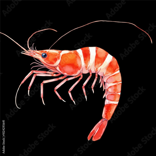 Vibrant Watercolor Shrimp Portrait