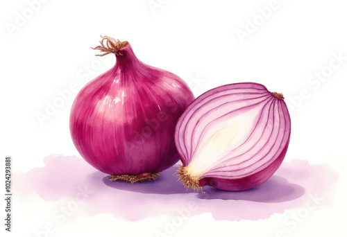 Watercolor Onion Illustration - Purple Onion Halves Close-Up