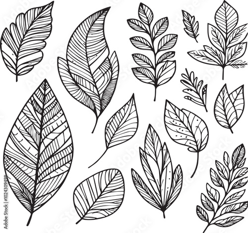 collection of icons collection of leaf images to color - version 1