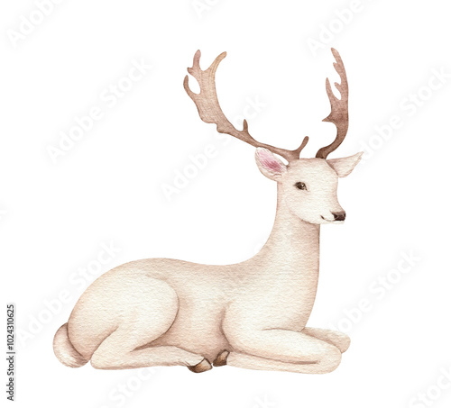 Cute deer illustration. Realistic watercolor hand painted art isolated on white background. Woodland wild animal. Element for decorative forest design.