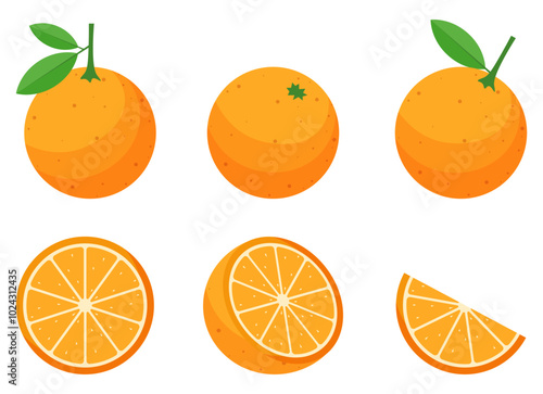 Set of whole and slice orange fruit clipart flat illustration 