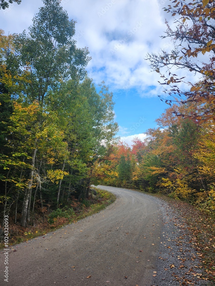Roadside Scenery in Canada during Fall Roadside Scenery in Canada during Fall